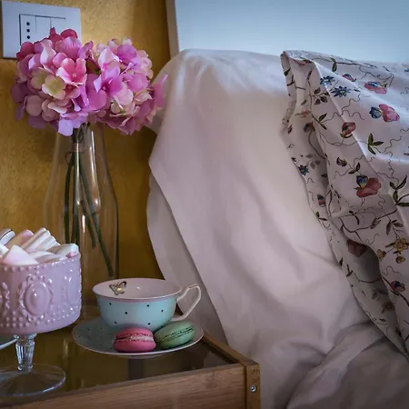 Vignolino Bed & Breakfast